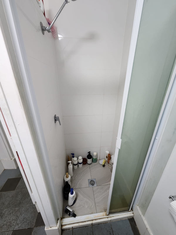 Before - Bathroom Retile + Screen